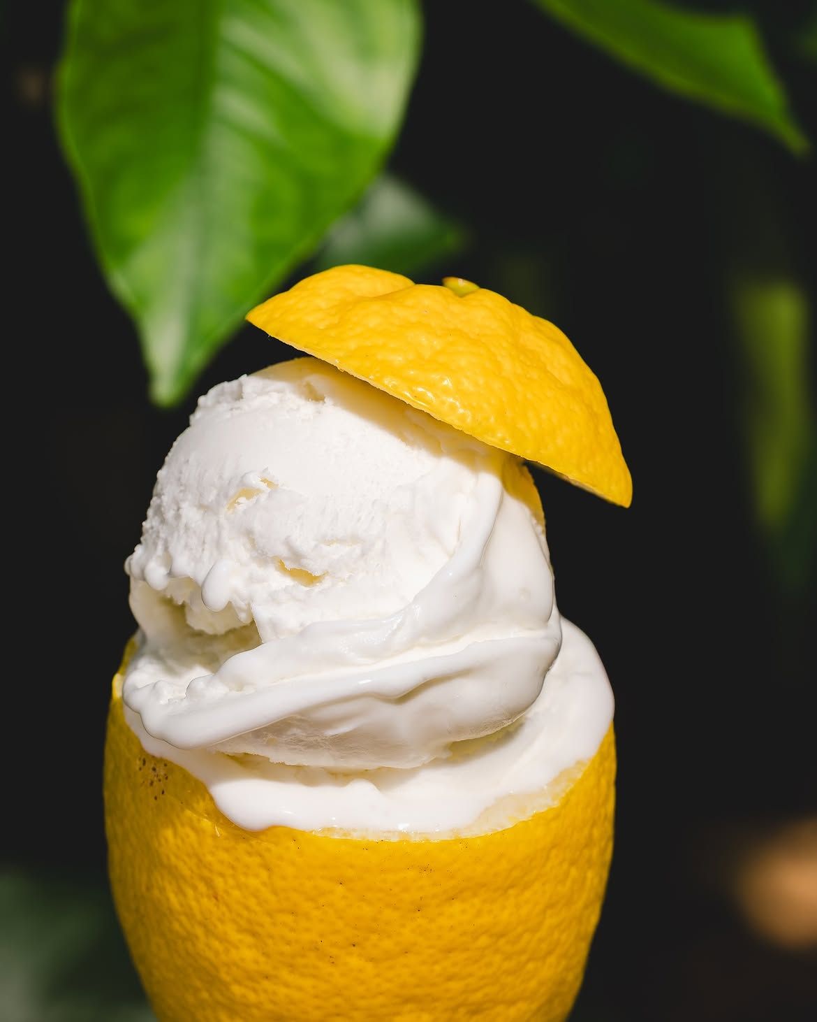 Sorbet serviran u limunu
